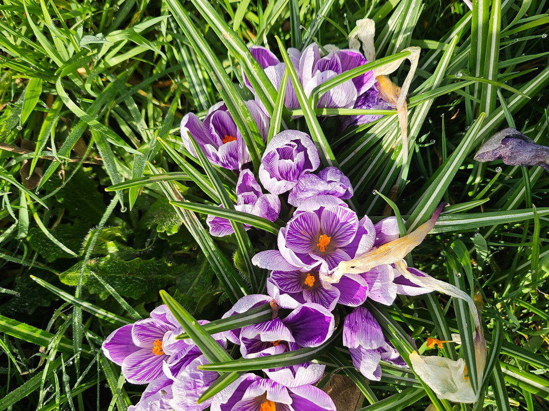 Jardin Botanique Jean-Marie Pelt-Villers-les-Nancy必去景点