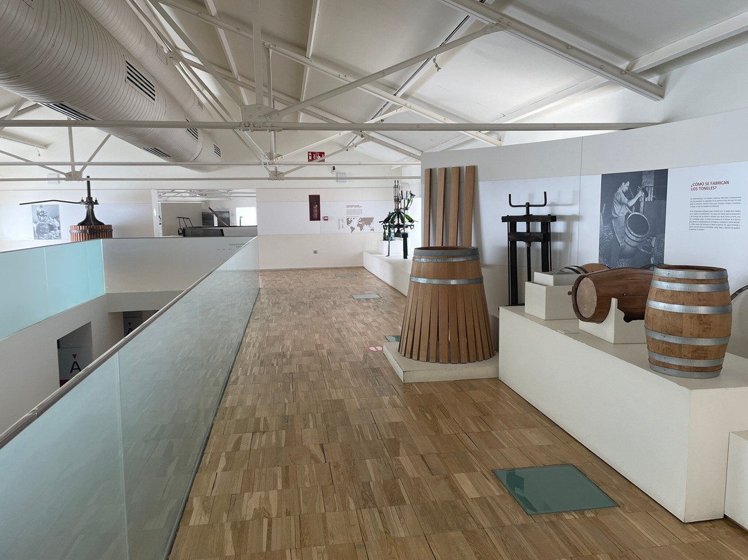 Museo de las Ciencias del Vino-Almendralejo必去景点