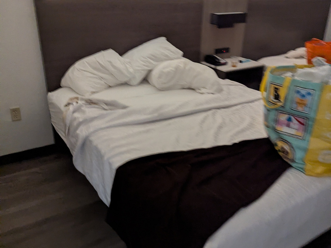 马尔伯里贝斯特韦斯特酒店主图