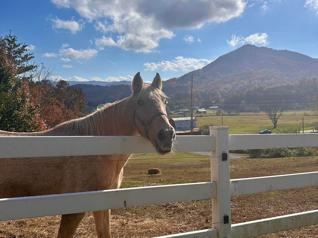 Unforgettable View Country Inn and Spa主图