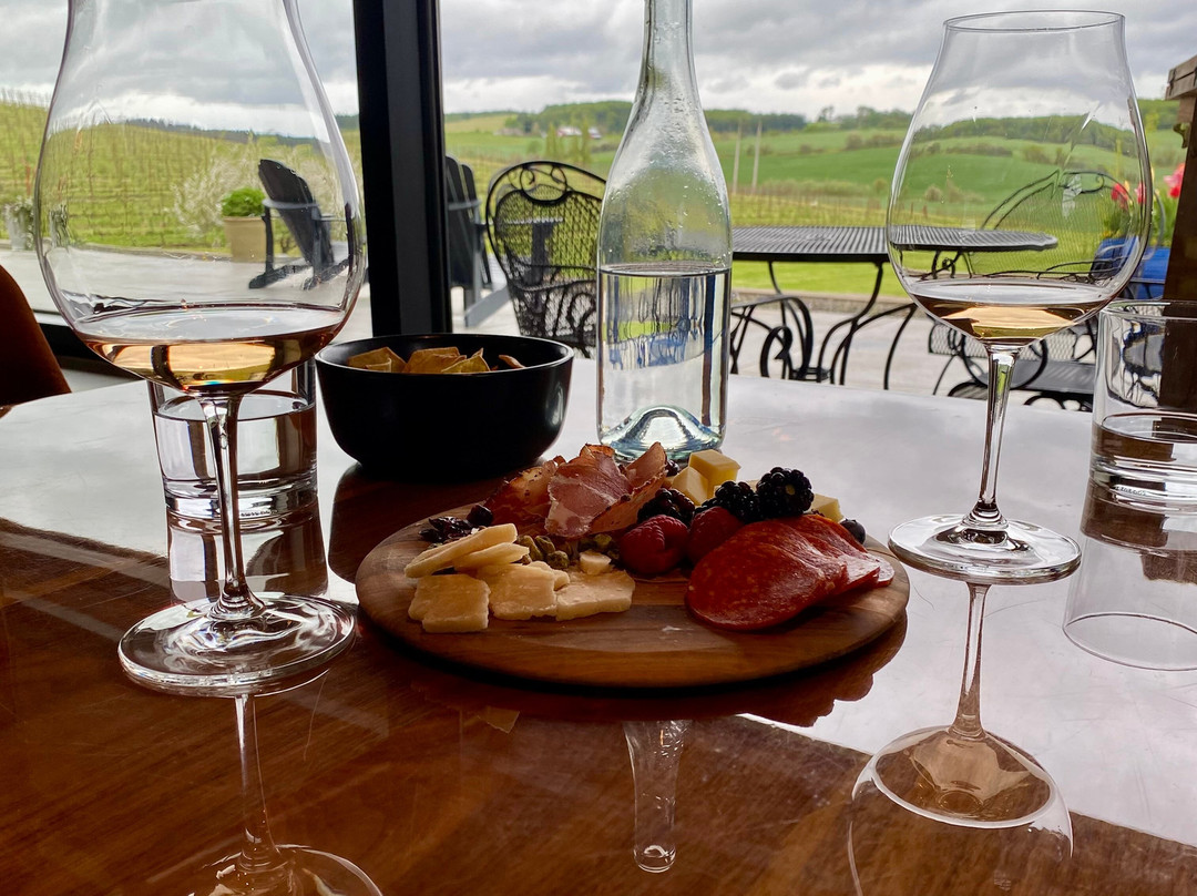 Andante Vineyard-Dallas必去景点