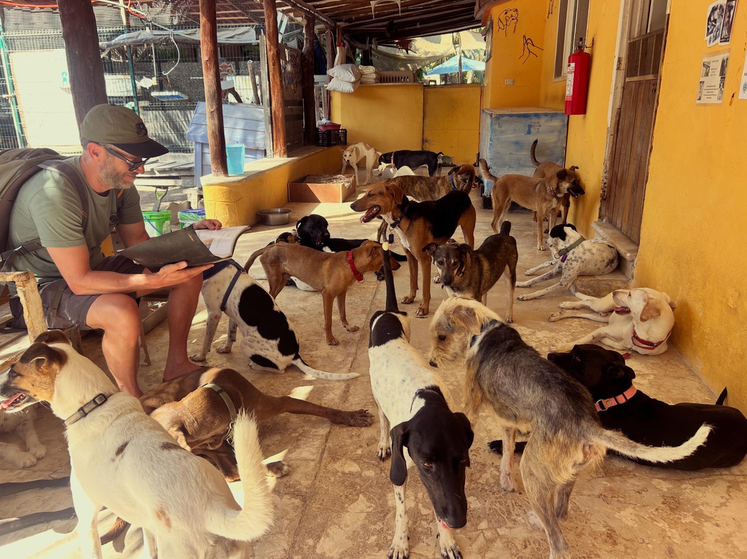 Refugio Holbox-Holbox Island必去景点