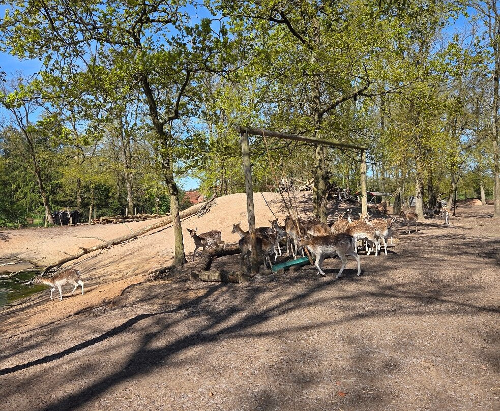 kinderboerderij Dondertman-Holten必去景点