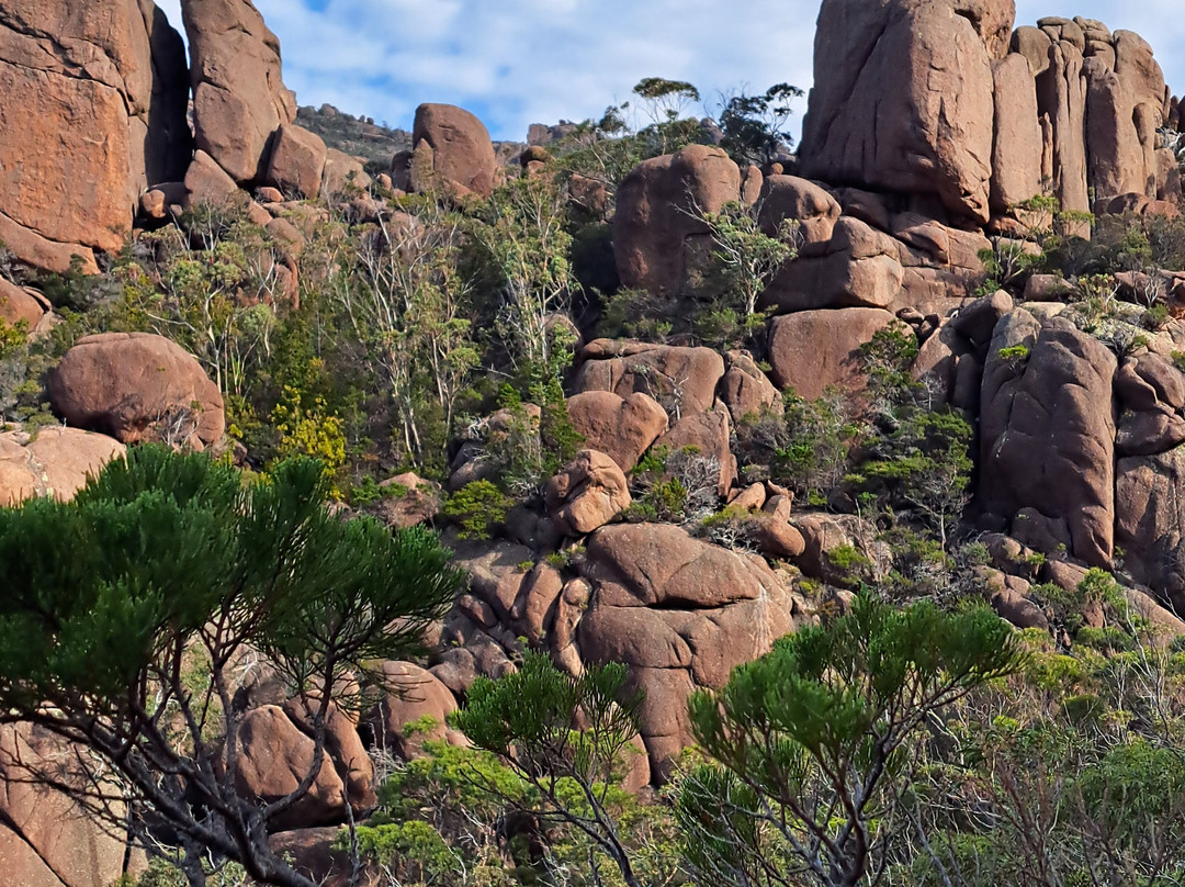 Freycinet National Park-科尔斯湾必去景点