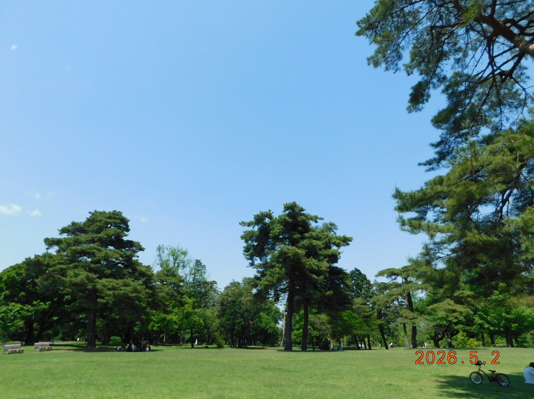 Sayama Inariyama Park-狭山市必去景点