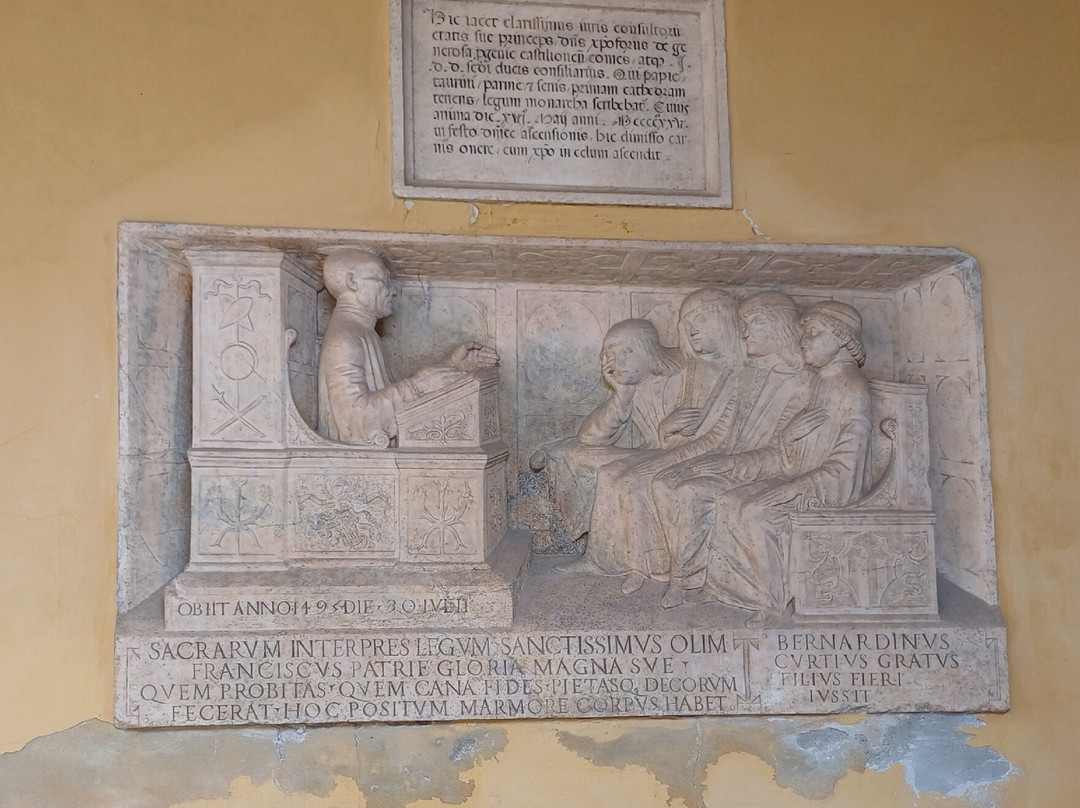Pavia University History Museum-帕维亚必去景点