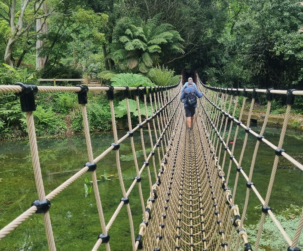Abbotsbury Subtropical Gardens-Abbotsbury必去景点