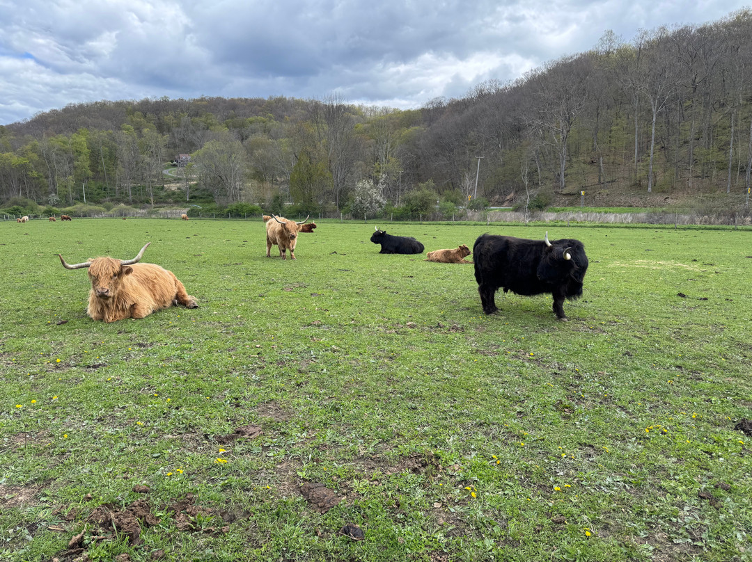 Elk Ravine Farm