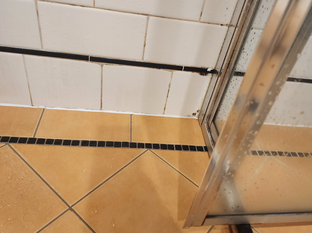 布拉西酒店 由DOMA集团管理主图
