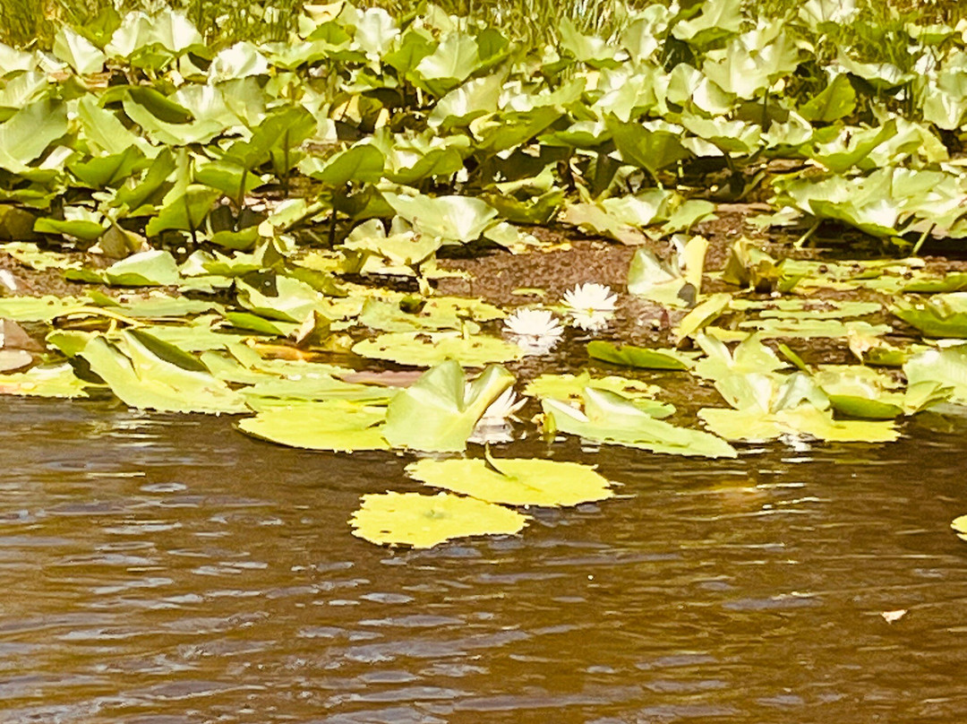 Epic Water Boat Tours LLC-Fruitland Park必去景点