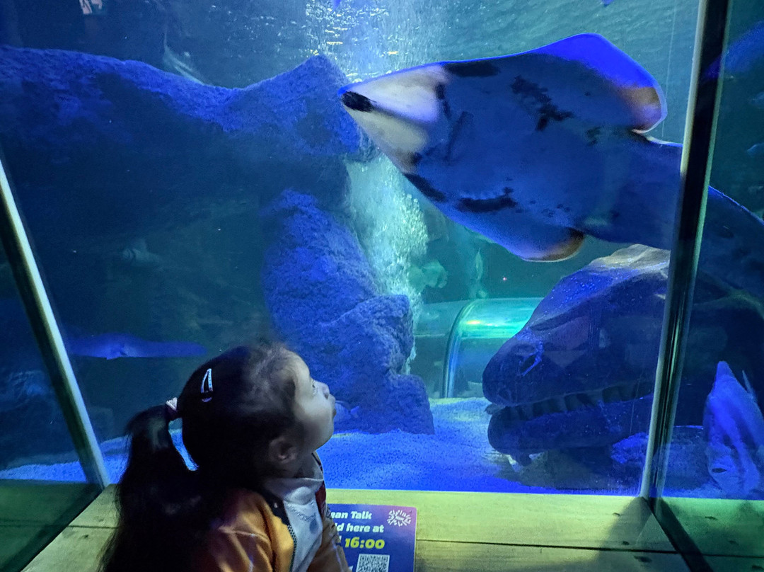 SEA LIFE Hunstanton-Hunstanton必去景点