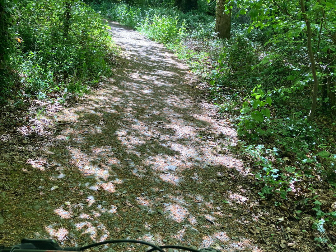 Fatbike Adventures-Wicklow必去景点