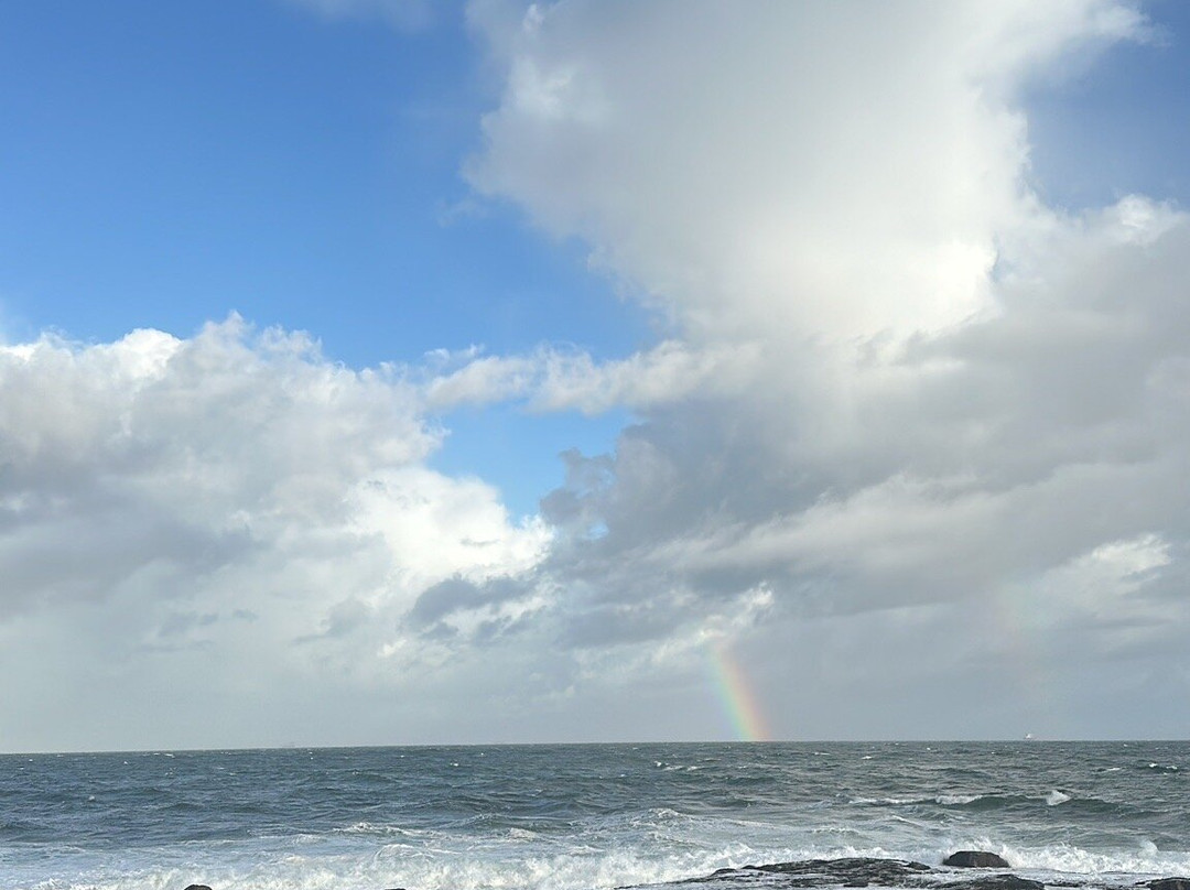 Sea Point Beach-Sea Point必去景点
