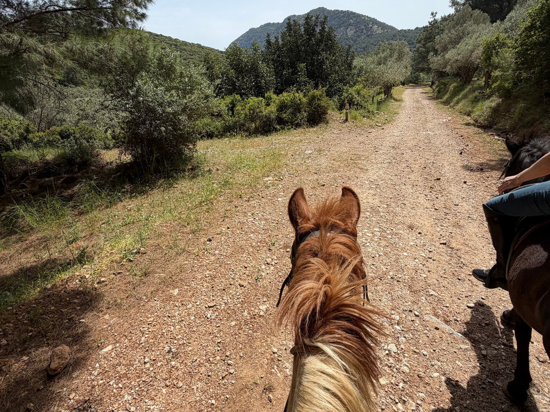Panouris Ranch-Samos Town必去景点