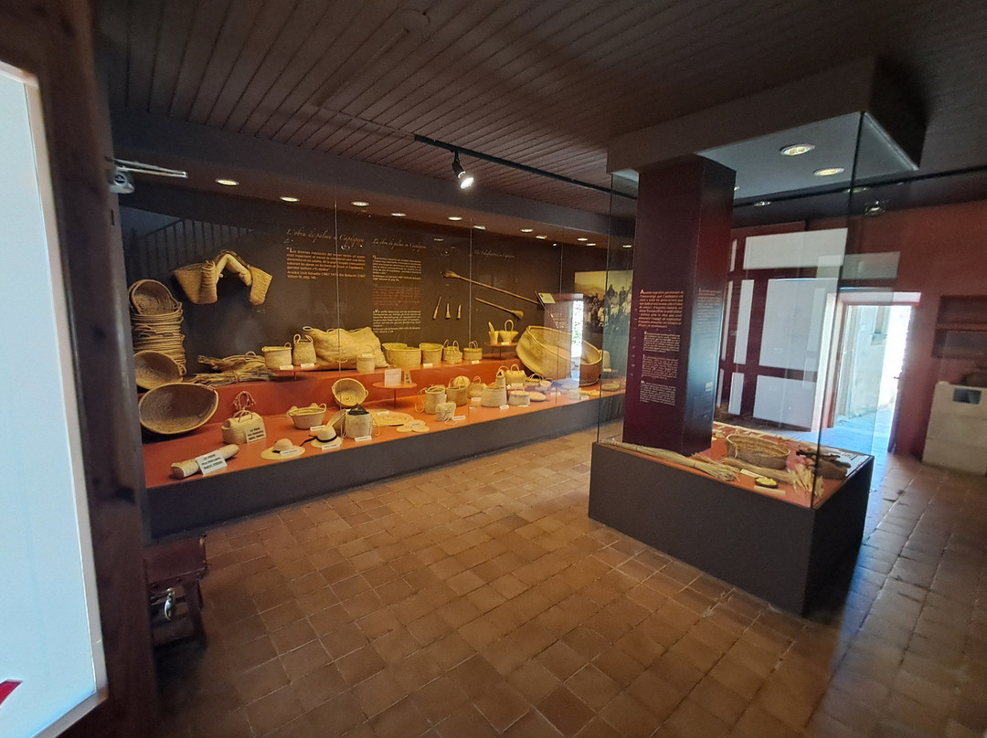 Museu de la Llata (Castell Capdepera)-卡普德佩拉必去景点