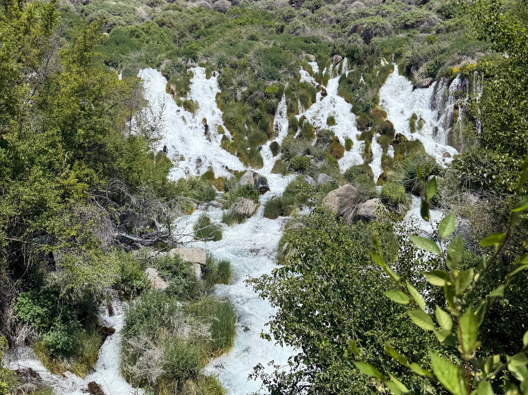 Thousand Springs-Hagerman必去景点
