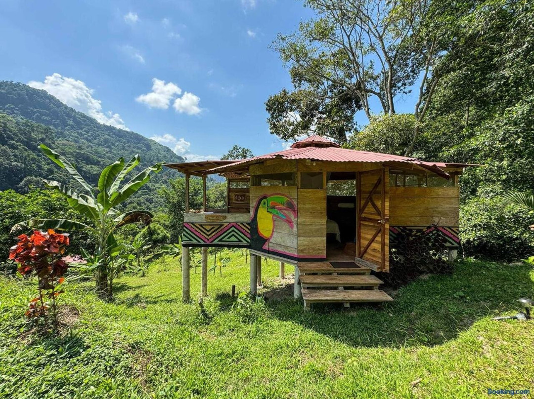 Cinduli Finca Organica Cacaotera