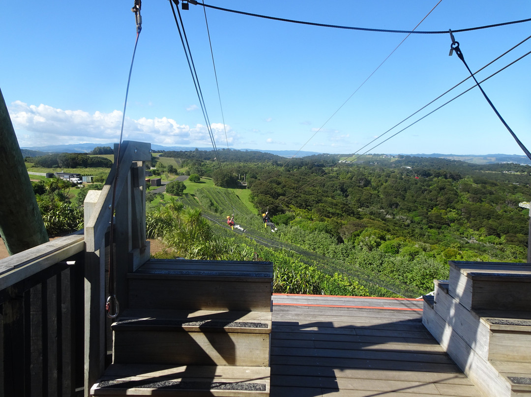 Ecozip Adventures Waiheke Island-欧尼罗亚必去景点
