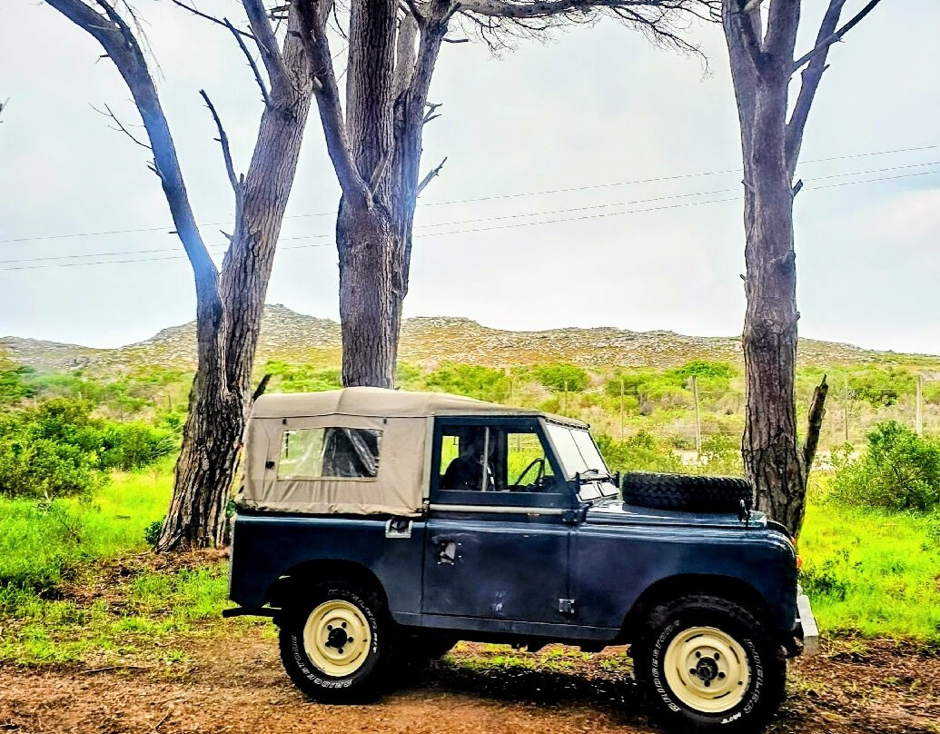 Cape Point-桌山国家公园必去景点