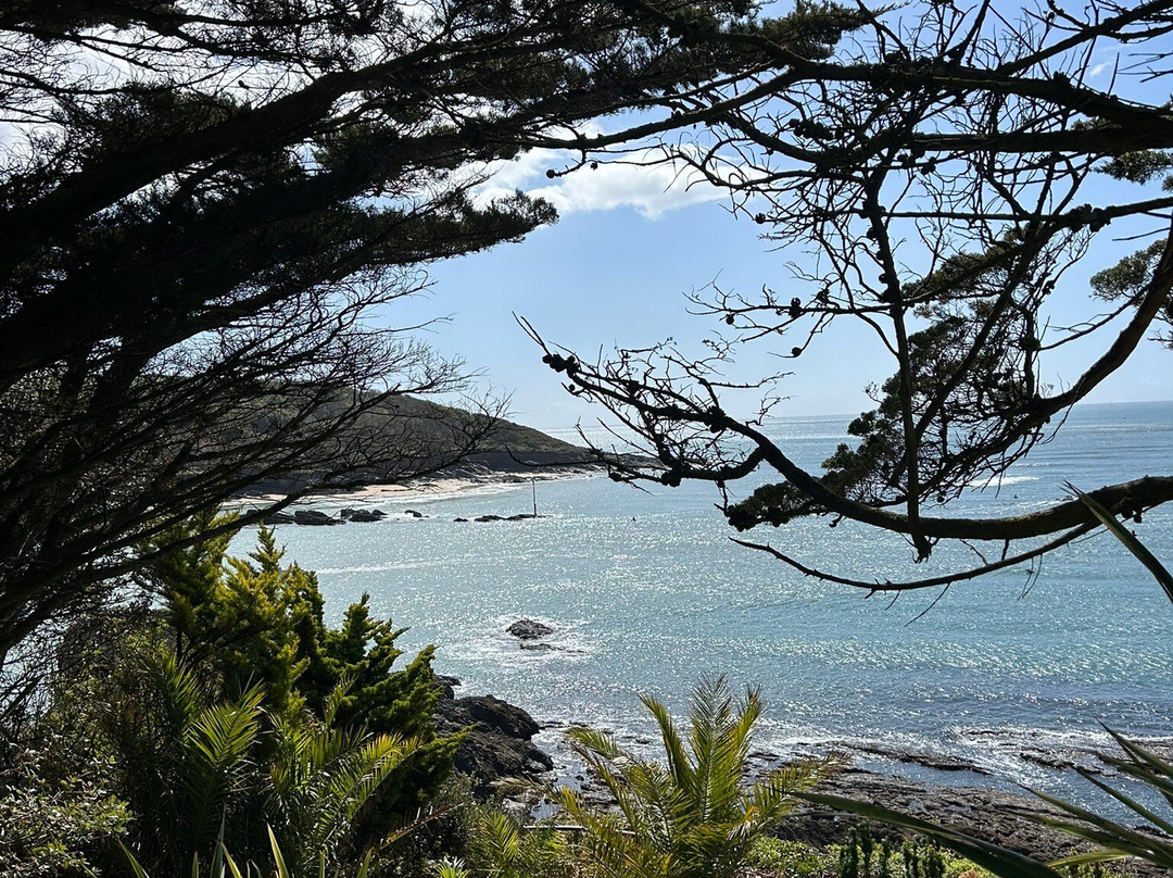 Salcombe Harbour-Salcombe必去景点