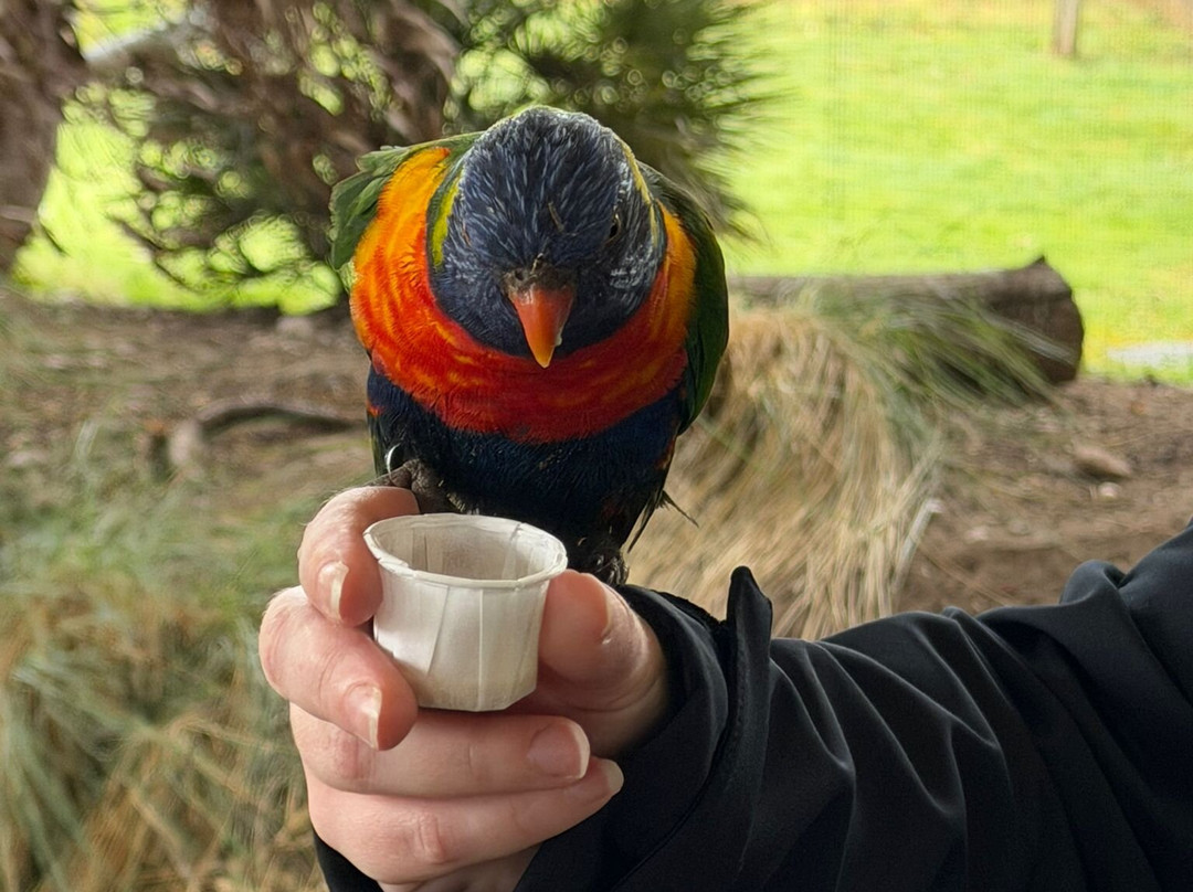 Twycross Zoo-Atherstone必去景点