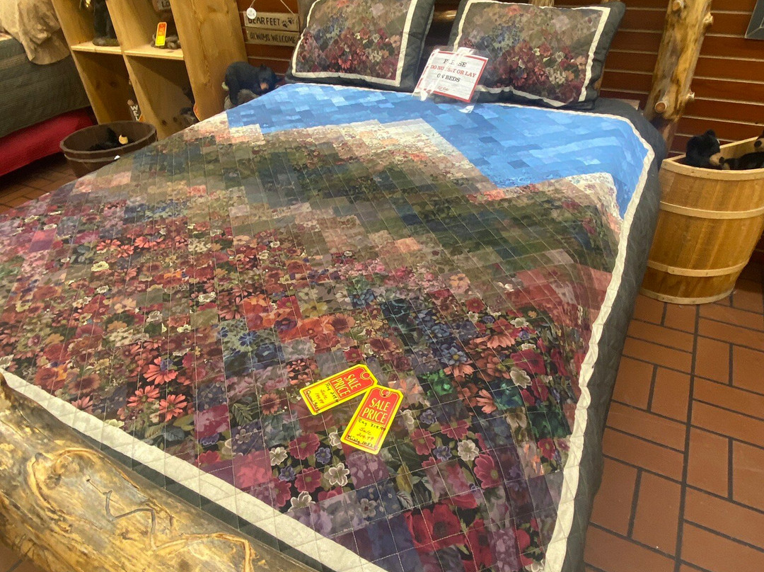 Lidl Dollys Factory Store-皮金福奇必去景点