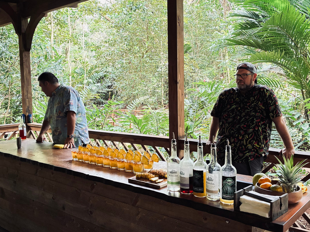 Kauai Safaris-利胡埃必去景点