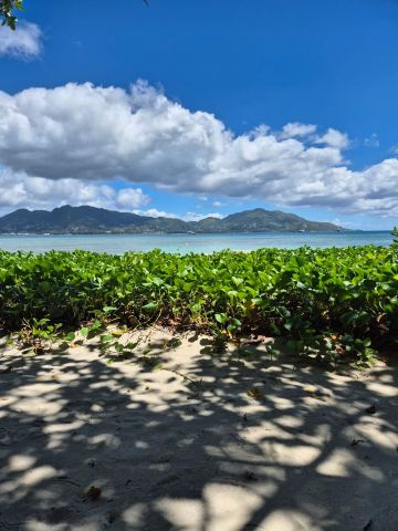 Club Med Seychelles-泳池
