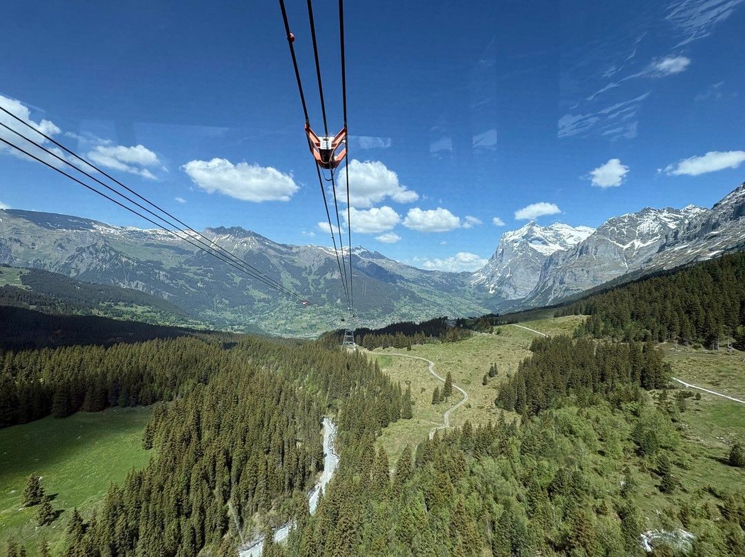 Eiger Express