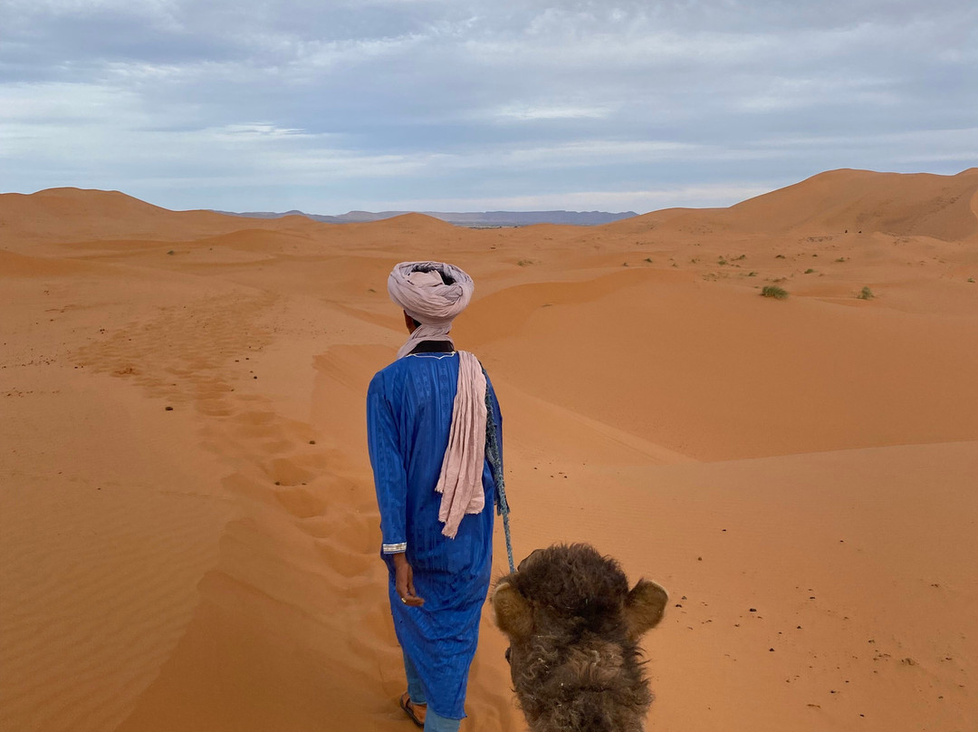 Desierto Sahara Trips-马拉喀什必去景点