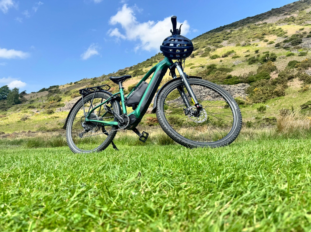 Whinlatter Bikes-凯瑟克必去景点