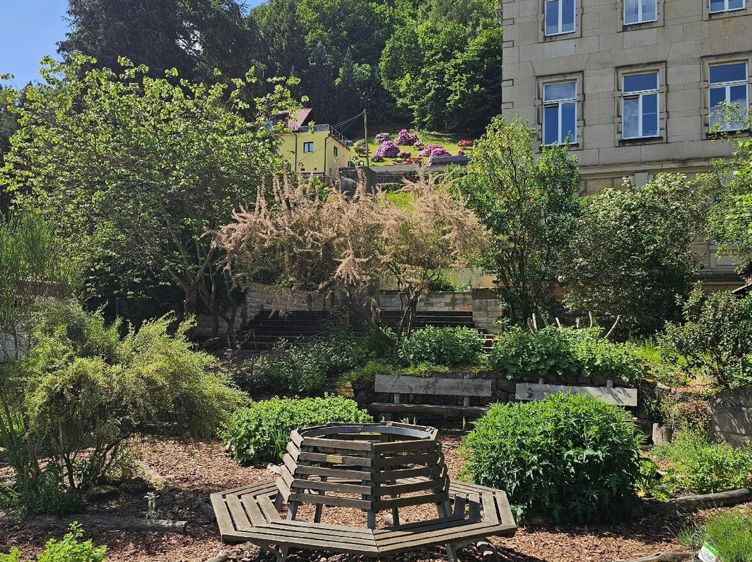 Bibelpflanzengarten-Koenigstein必去景点