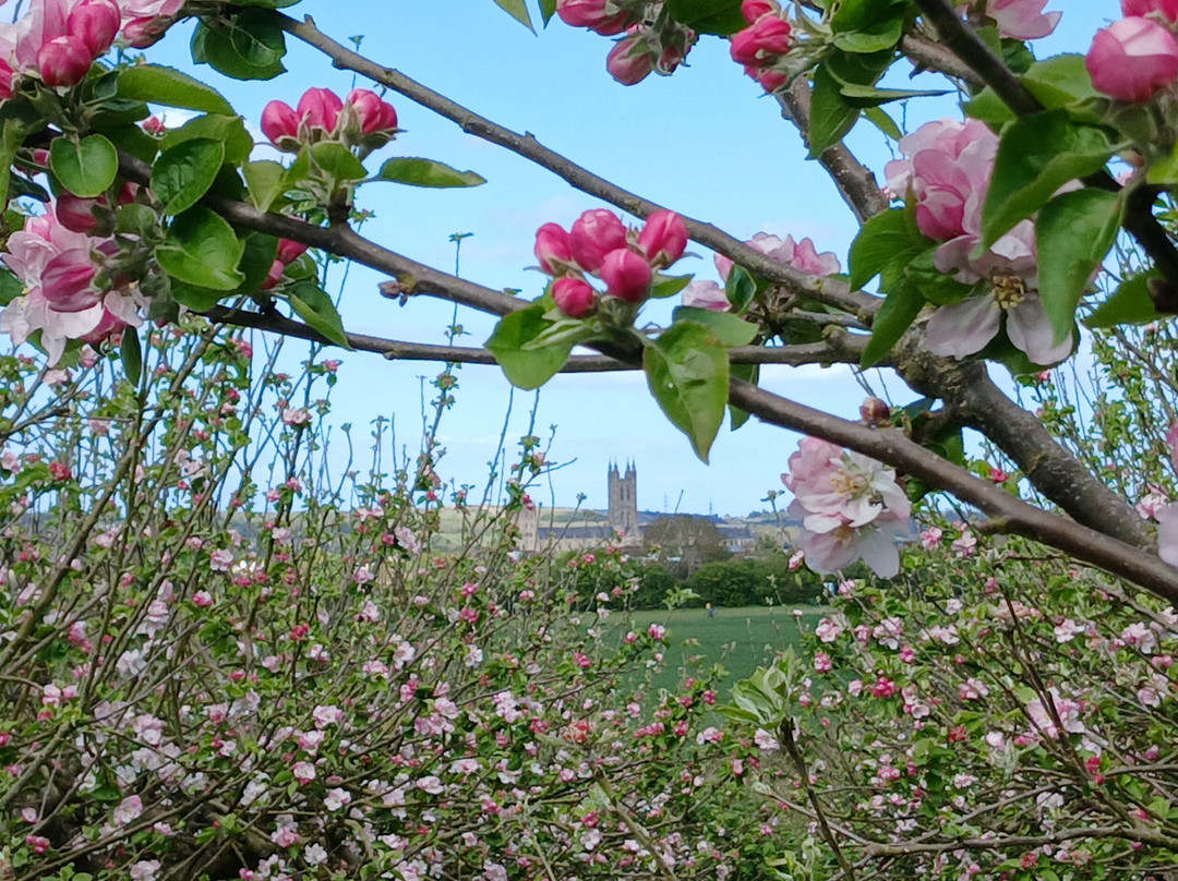 Canterbury Cathedral Panoramic Viewpoint-坎特伯雷必去景点