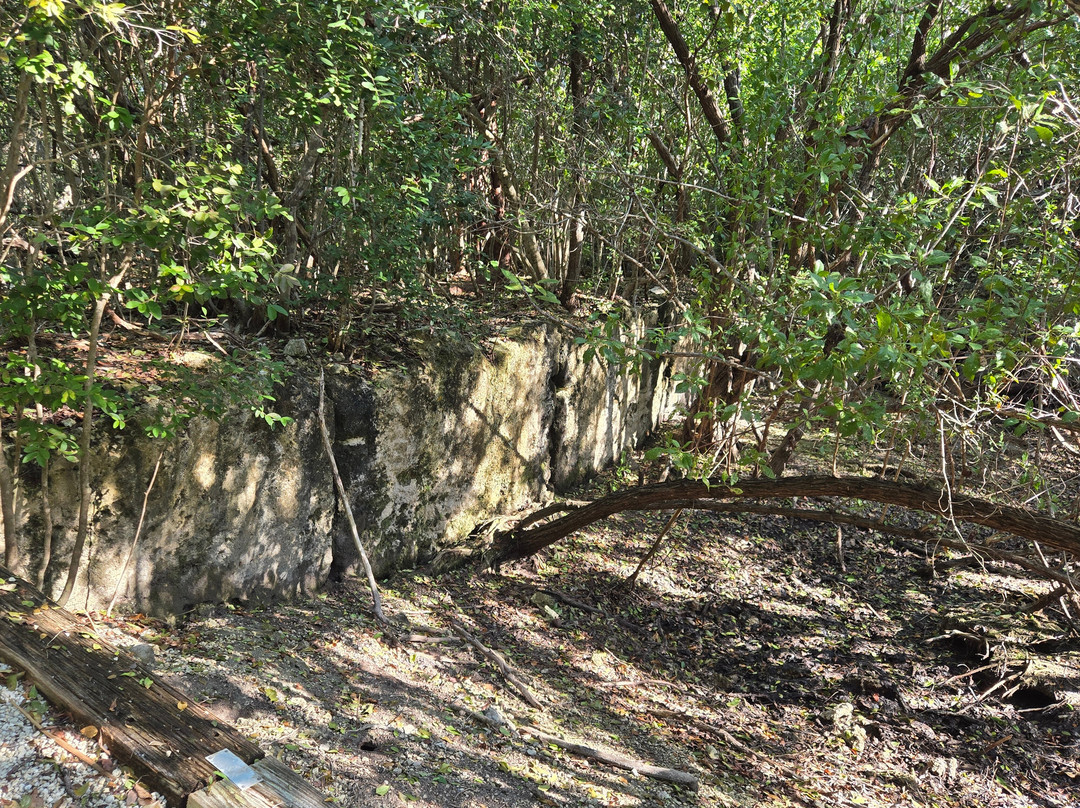 Windley Key Fossil Reef Geological State Park-伊斯拉摩拉达必去景点