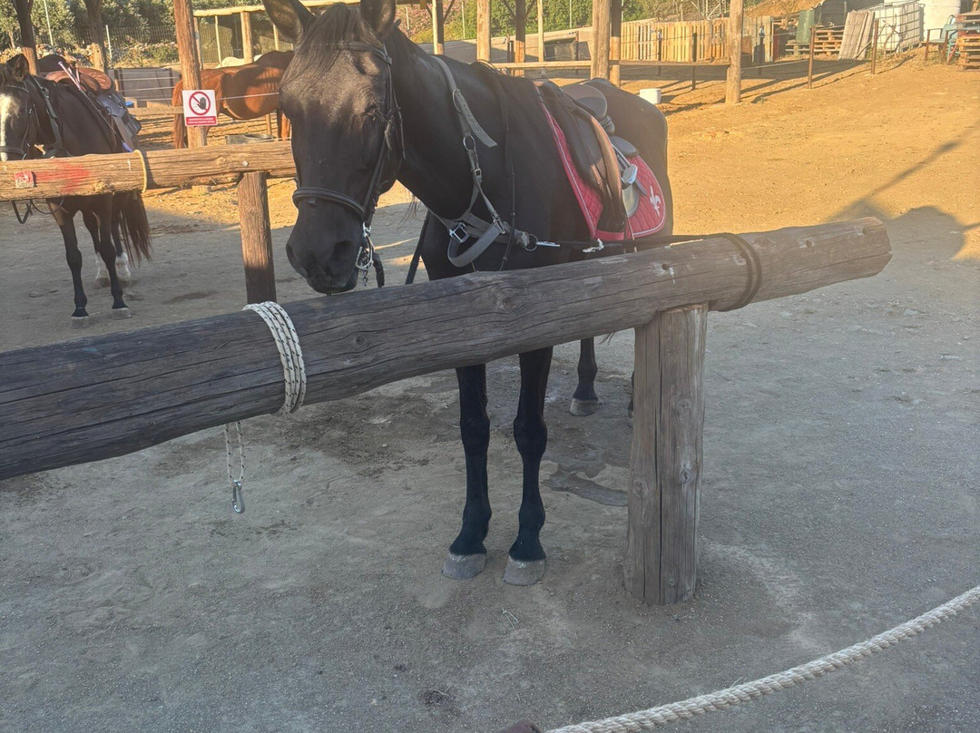 Horse Riding In Leros - The Mountain Ranch-Partheni必去景点