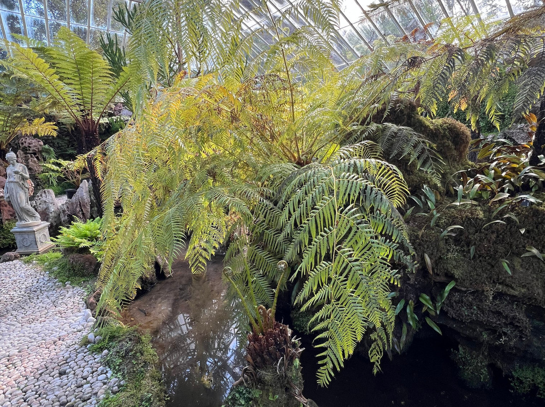 Ascog Hall Fernery and Garden-Ascog必去景点