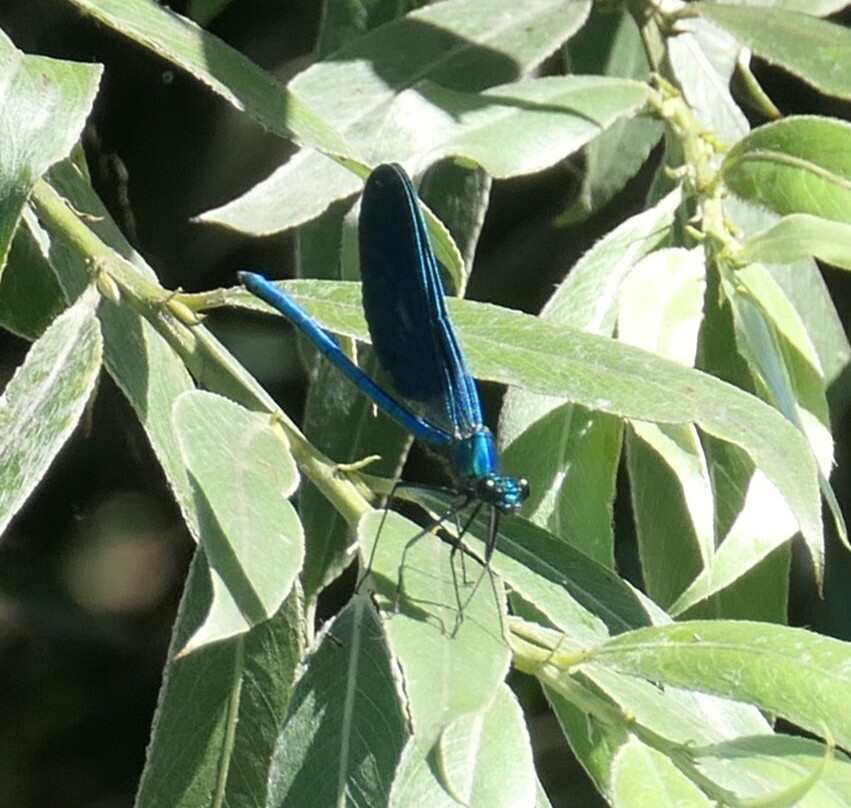 Dragonfly Kayak: The Acheron Experience-Ammoudia必去景点