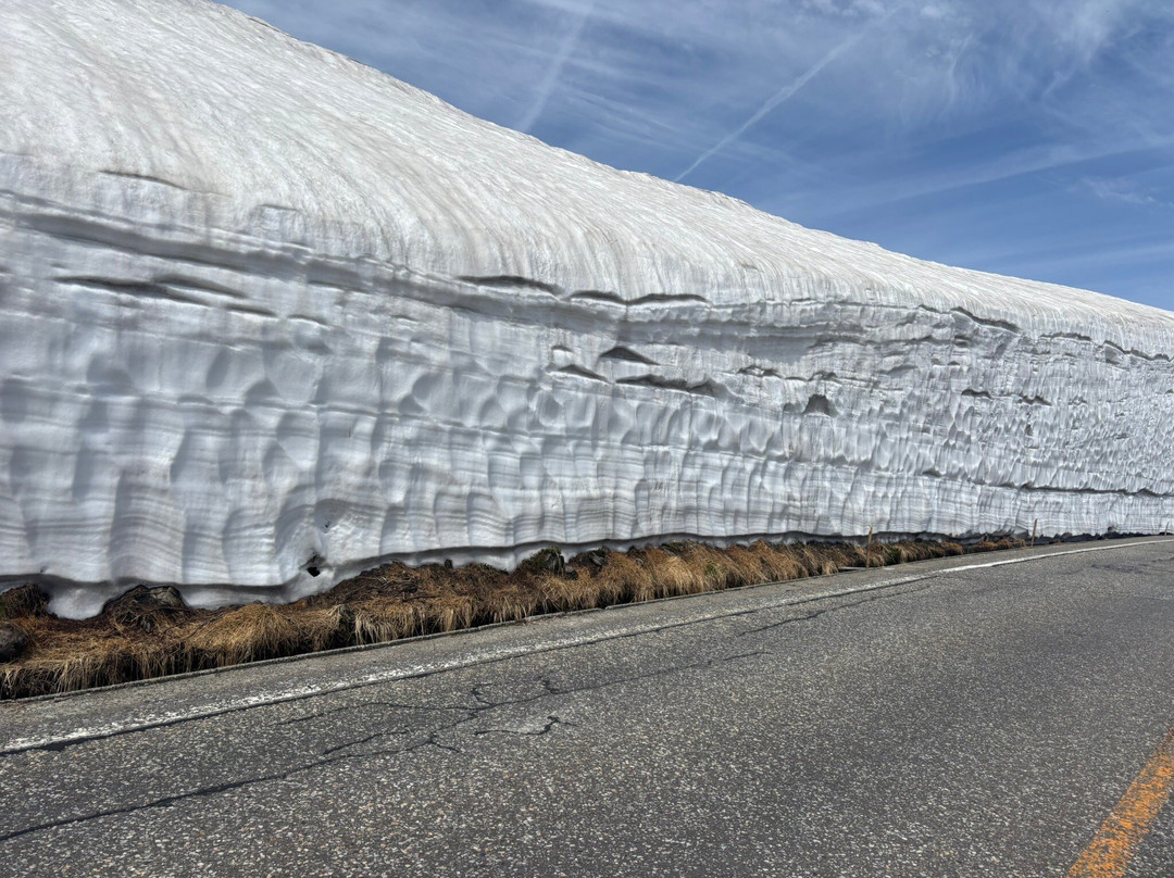 Yuki no Otani (Snow Wall)-立山町必去景点