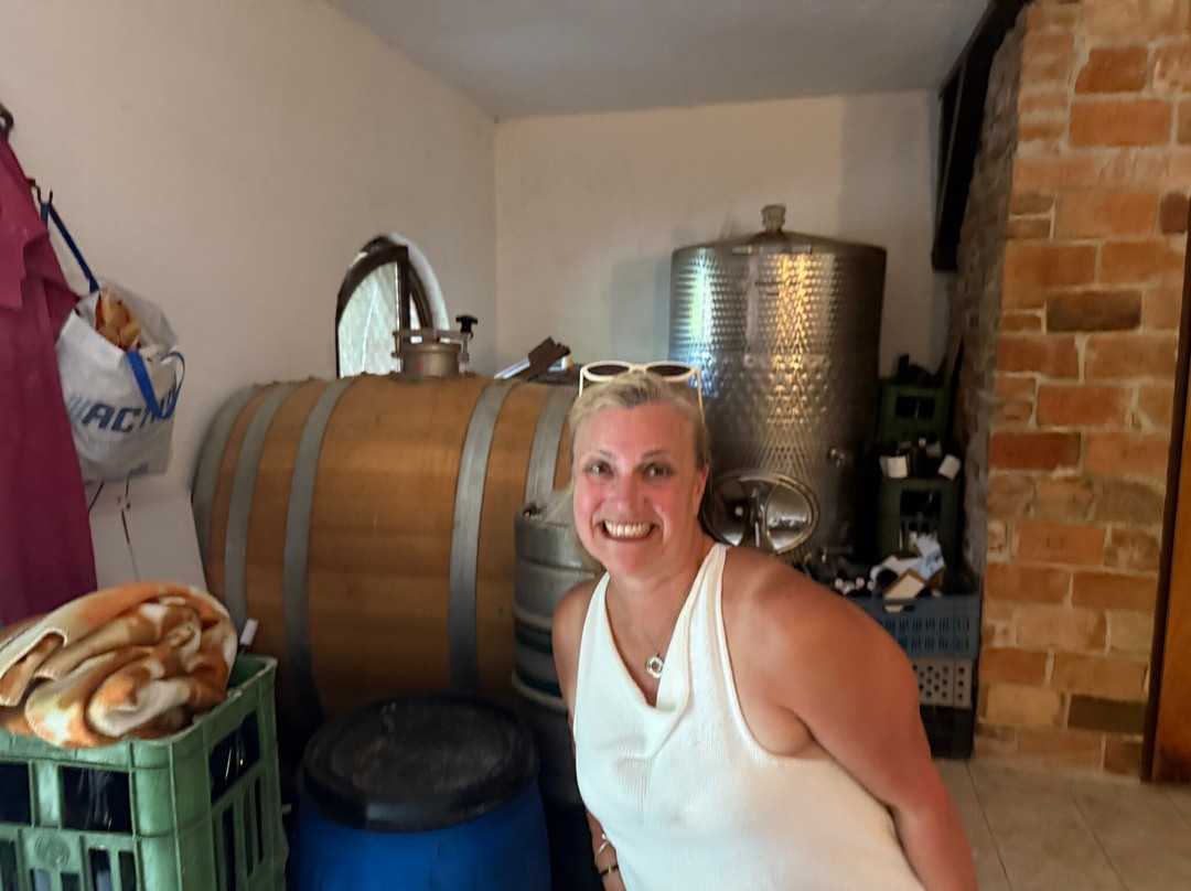 Wine Tours Moravia-米库洛夫必去景点