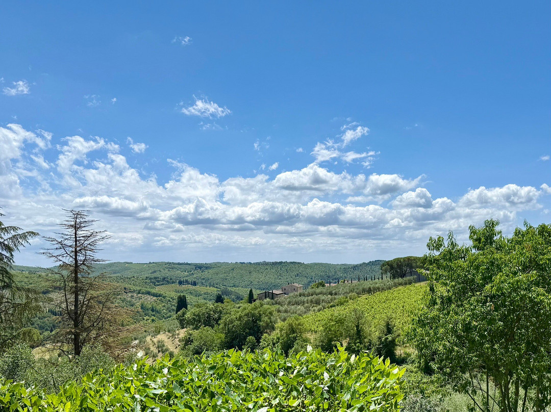 Marivi Chef in Tuscany-Casole d'Elsa必去景点