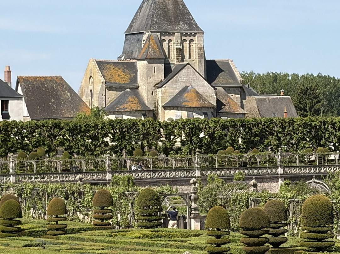 Riverloire - Loire Valley Day Tours-昂布瓦斯必去景点