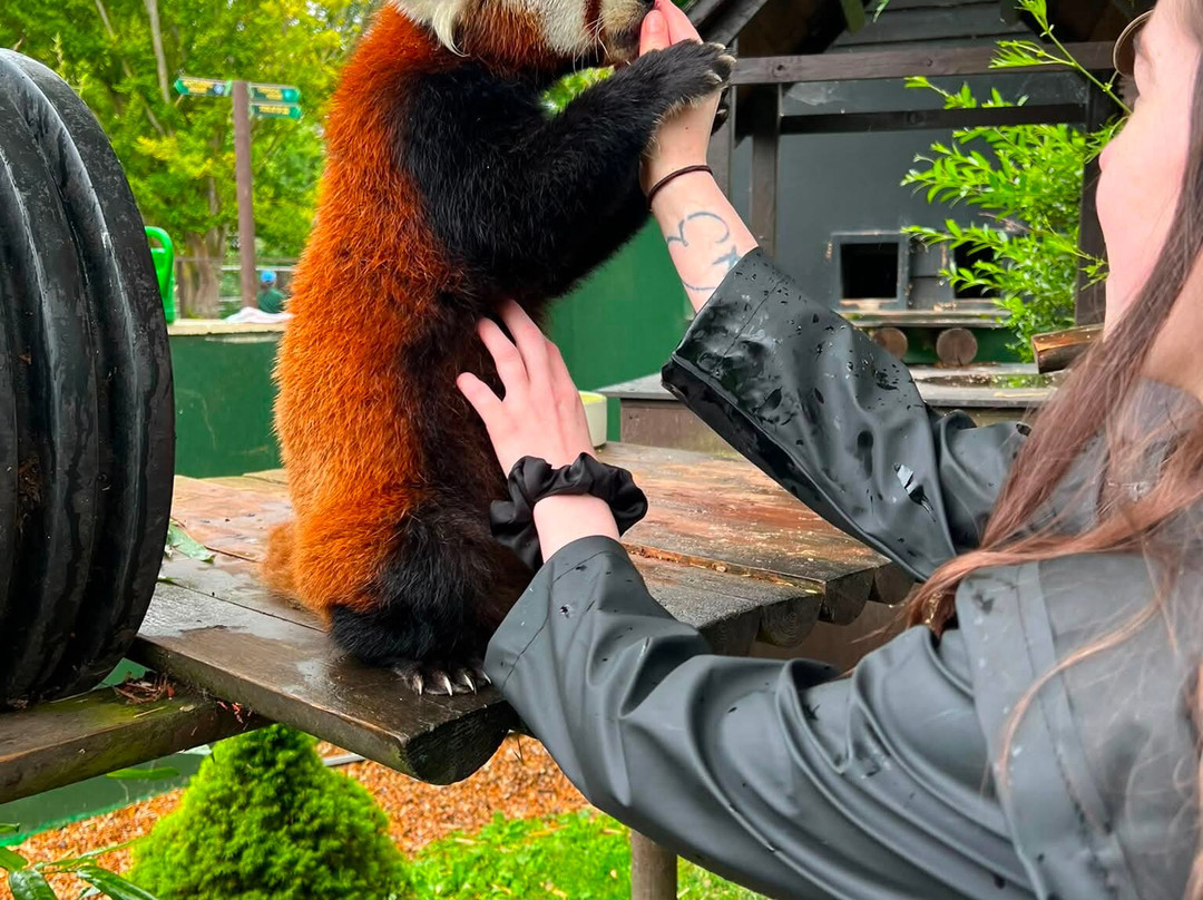 Shepreth Wildlife Park-Shepreth必去景点
