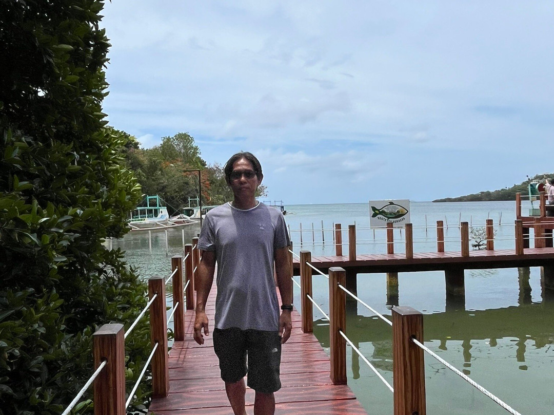 Mangrove Nursery-长滩岛必去景点
