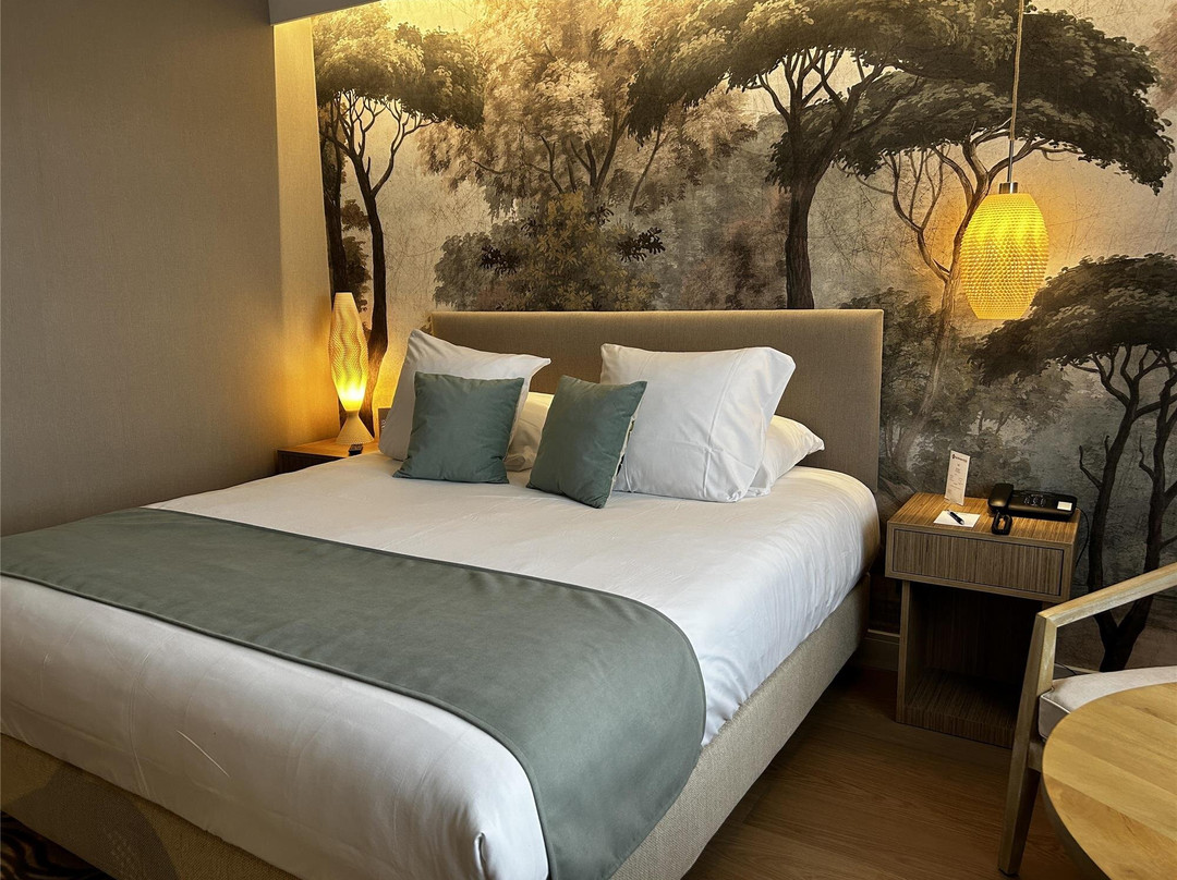 Marcy-l'Etoile酒店住宿-Best Western Plus Hotel Admiral, La Tour De Salvagny