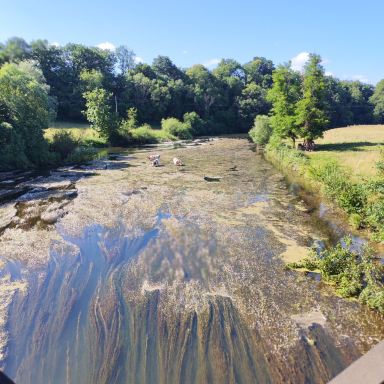 Moulin de Montferney-旅行者