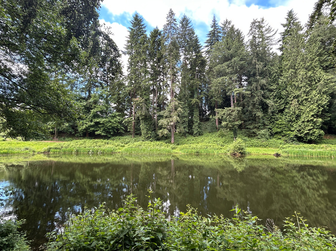 Soudley Ponds-Soudley必去景点