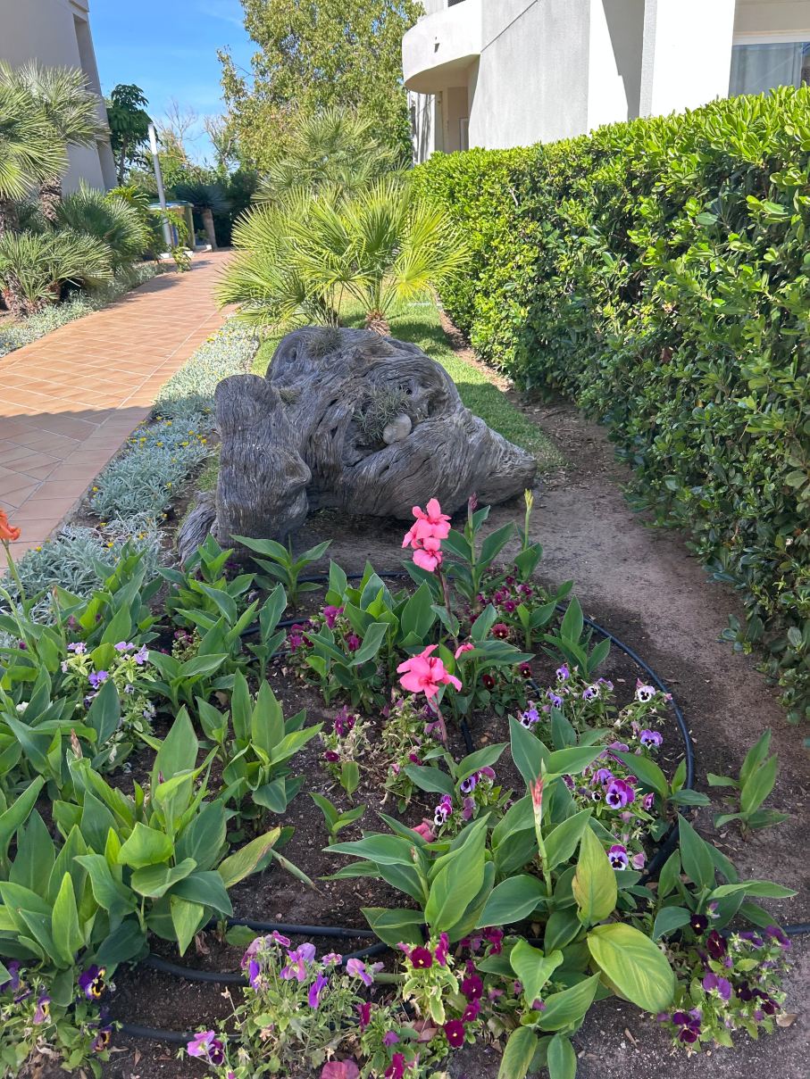 万岁蓝色 SPA 酒店-旅行者