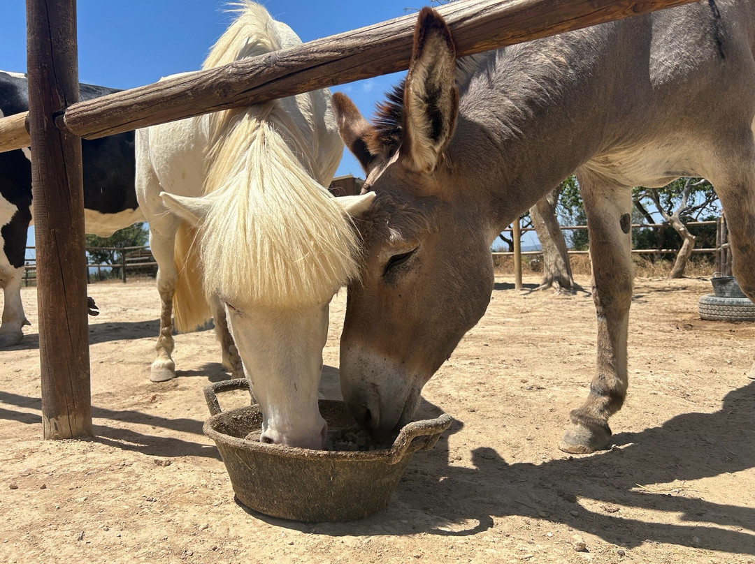 Quinta Fotoplanet Farm-阿尔布赞拉必去景点