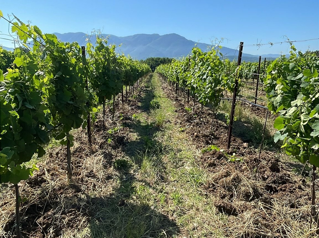 Tenuta San Girolamo-Guardia Sanframondi必去景点