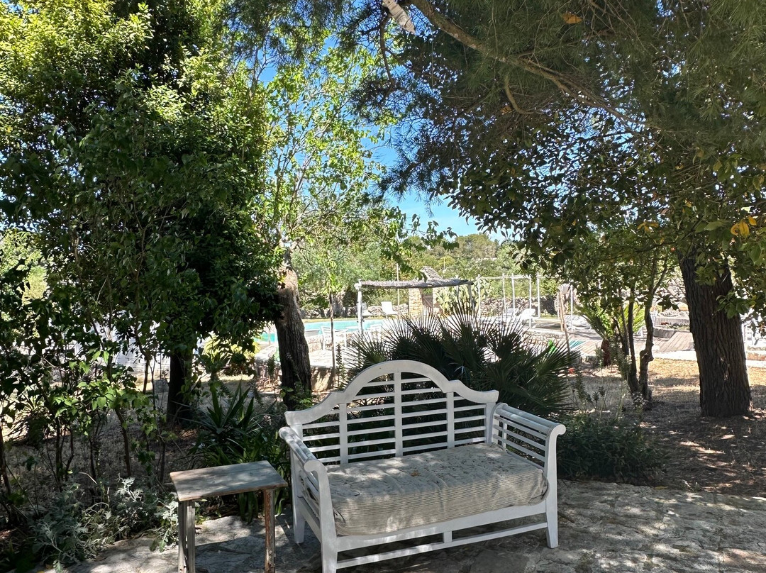 Masseria Trulli&Stelle B&B主图